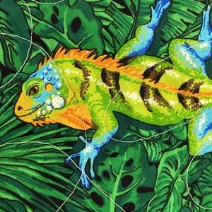 Colorful Chameleon Quilt with Blue Center and trim. Back is various patterns